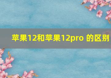 苹果12和苹果12pro 的区别